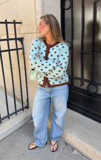 Blue & Brown Dotty Cardigan