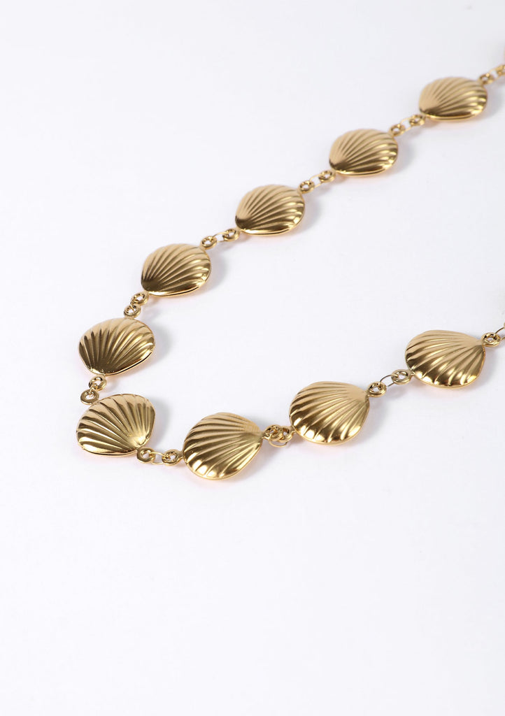 Golden Shell Set - Kiwi & Co