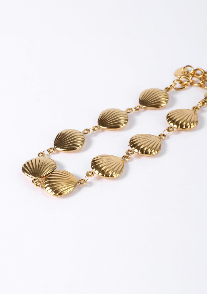 Golden Shell Set - Kiwi & Co