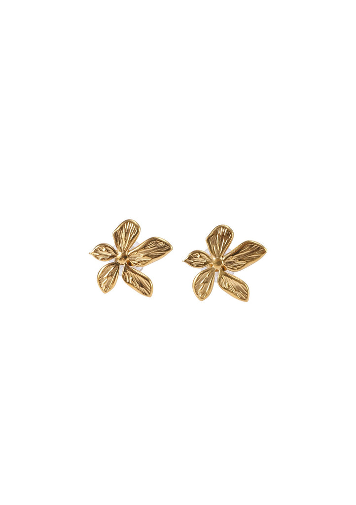 Island Blooms - Kiwi & Co