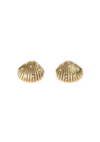 Pearl Shell Studs - Kiwi & Co