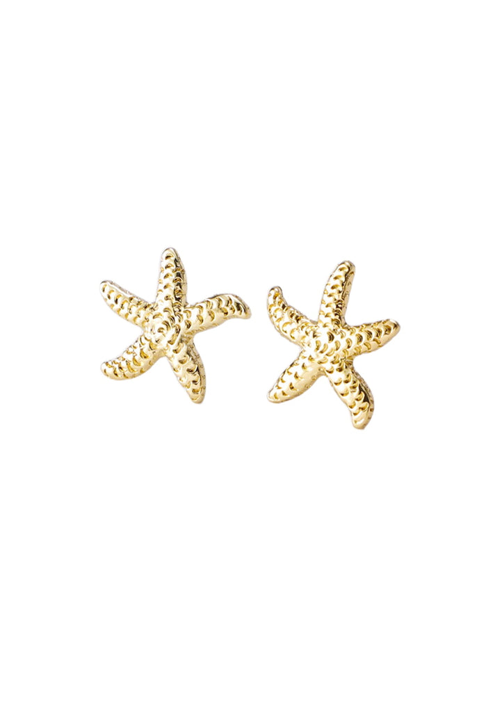 Starfish Studs - Kiwi & Co